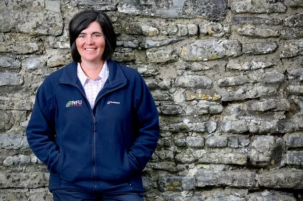 'They caused us anger and sleepless nights - now politicians have to earn our trust again'