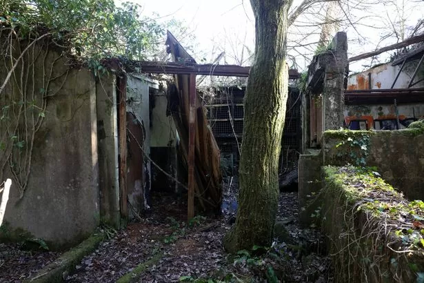 Tourist attraction visited by children across Wales abandoned and lost to nature