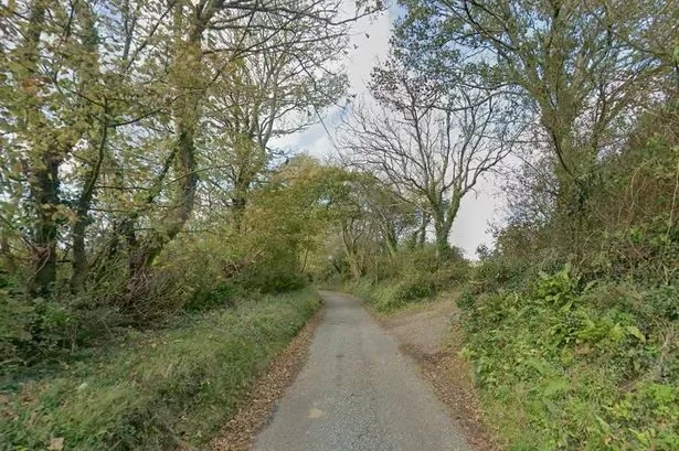 Cyclist exposes himself to woman on path