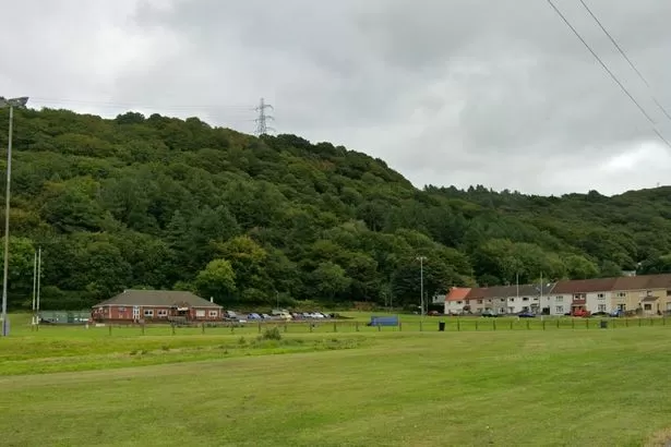 Rugby club worried for players' safety due to constant dog poo issues