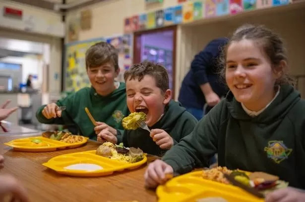 Reasons more children aren't eating free school meals in Wales