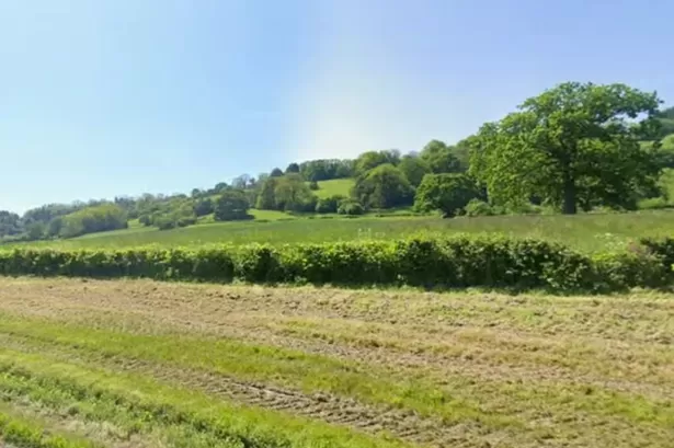 Plans for site where bodies will be allowed to naturally decompose