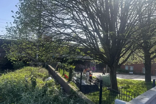 Encampment surrounded by litter returns to Cardiff city centre