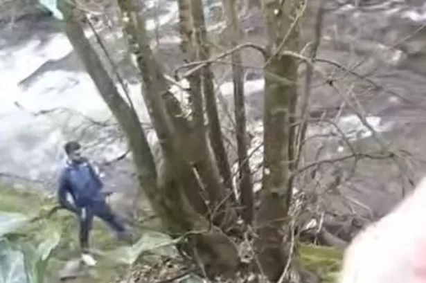 Moment man attempts to flee from police across river before having second thoughts