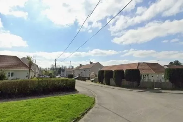 Boy mauled by dogs in Wiltshire village as armed police called to 'horrendous' attack