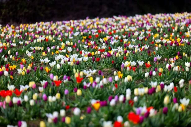 When are the May Bank Holidays in 2026