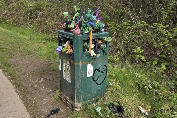 Dog walkers baffled after disgusting park bin overflowing with poo is removed