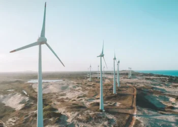 “The Vital Importance of Our Environment: A 10-Word Overview”