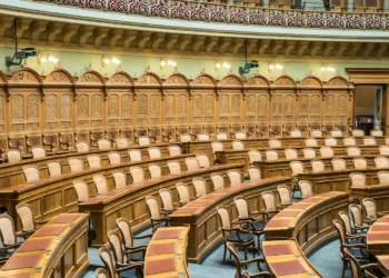 “Reimagining Politics: Positive Experiences Amidst Corruption and Deceit”