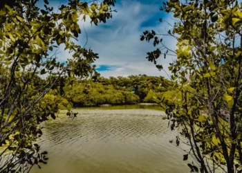 “Raising Environmental Consciousness: Impact of Climate Change on Society”