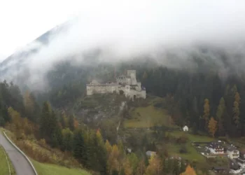 “The Vital Importance of Our Environment in 10 Words”