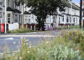 The feature on Cardiff’s streets which you might never notice but covers an area the size of 272 football pitches