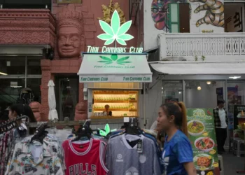 Thailand Considers Regulating Cannabis Instead of Recriminalizing It