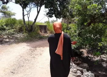 New Child Marriages, Cohabitation With a Child Law in Sierra Leone Lauded