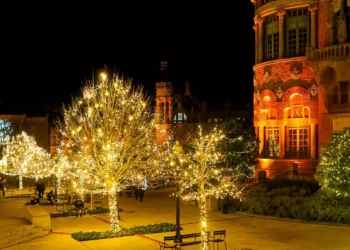 “The Power of Art and Entertainment: Adding Color to Life”