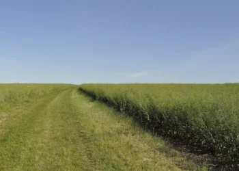 “Preserving Our Precious Environment: Our Responsibility for Tomorrow”