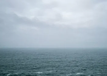 “Rising Awareness: The Growing Importance of the Environment”