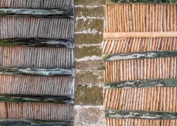 “The Vital Importance of Our Environment: A 10-Word Guide”