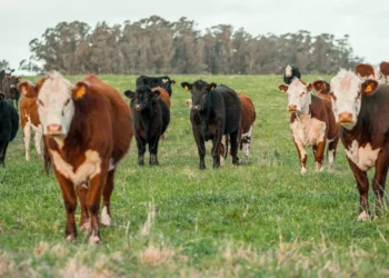 “Unveiling the Positive Impact of Economics on Society”