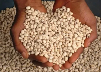 When Will World Food Day be a Day to Actually Celebrate?