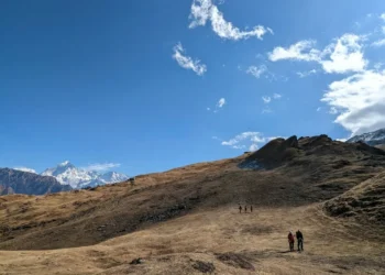 “The Significance of Salud: Beyond a Simple Greeting”