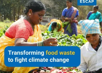 Building Resilience Against Climate Risks: The Transformative Role of Social Protection