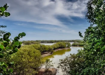 “The Growing Significance of Environment Conservation in Modern Times”