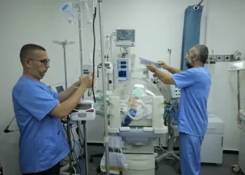 The Health of Gaza is Dependent on Humanitarian Pause