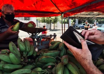 “The Enduring Importance of Economía in Human Societies”