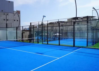 “The Enduring Impact of Sports on Human Society”