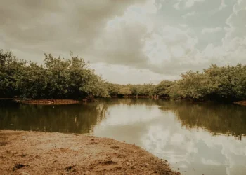 “Protecting Our Precious Planet: Our Duty as Stewards”