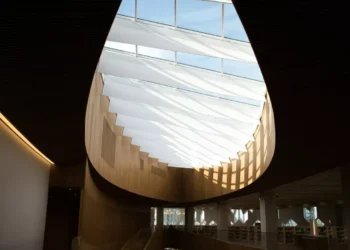 “The Impact of Human Activities on the Environment”