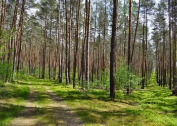 “Preserving Our Planet: Our Duty for Future Generations”