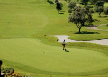 “The Impact of Sports on Society: Uniting, Disciplining, and Growing”