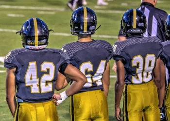 “Unifying Communities: The Role of Sports in Our Lives”