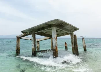 How Blue Carbon Ecosystems are Saving the Philippines’ Sinking Islands