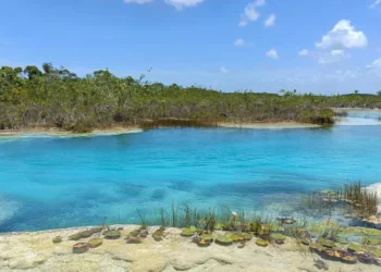 “Raising Awareness: The Growing Importance of the Environment”