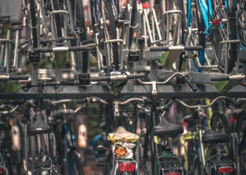 “The Powerful Influence of Economics on Our Daily Lives”