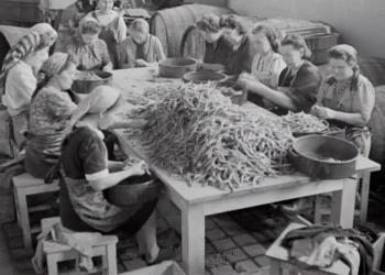 “The Essential Role of Economics in Society”