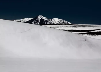 “Preserving Our Precious Environment: A Shared Responsibility”