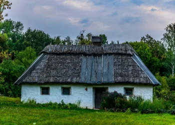 “The Vital Role of : Driving Growth and Stability”