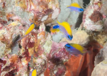 “Rising Environmental Consciousness: The Power of Sustainable Living”