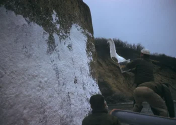 “Appreciating Our Precious Environment: A Gift to Protect”