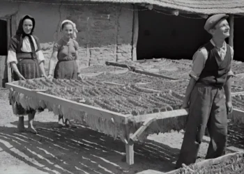 “Exploring the True Meaning of Economía: Beyond Numbers and Markets”