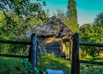 “The Evolution of Economía: Adapting to Changing Societies”