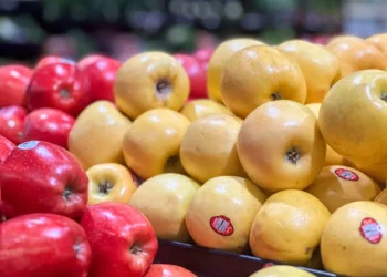 “The Enduring Influence of Economics Throughout History”