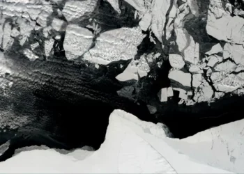 “Protecting Our Environment: Our Responsibility for Survival”