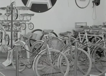 “Unleashing the Power of Economía in a Globalized World”