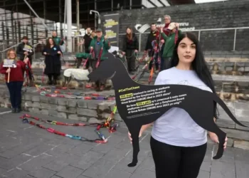 Welsh Labour and Liberal Democrat budget deal described as ‘dirty’ and ‘dodgy’