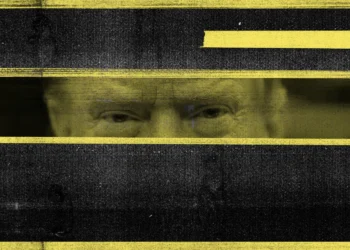 How to Leak Under the Trump Administration